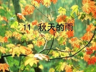秋天的雨精品优秀课件