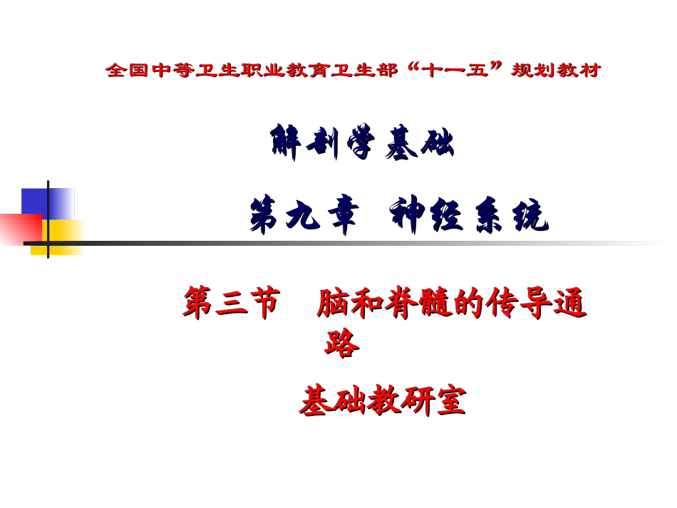 躯干和四肢的浅感觉传导通路_第1页