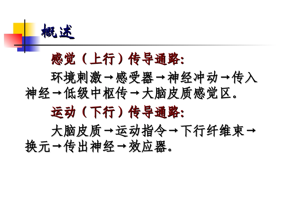 躯干和四肢的浅感觉传导通路_第3页