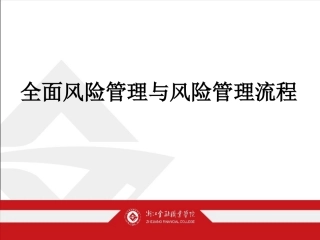 全面风险管理与风险管理流程要点