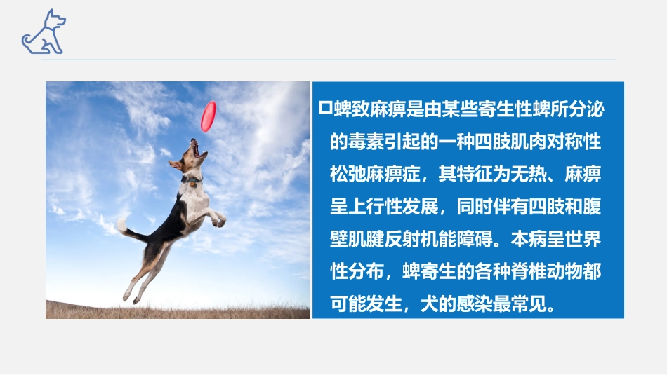 犬猫的寄生虫病蜱致麻痹宠物医生课件_第2页