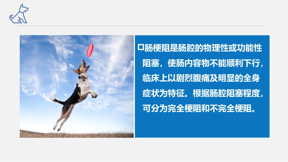 犬猫消化系统疾病肠梗阻结肠炎便秘宠医课件_第2页