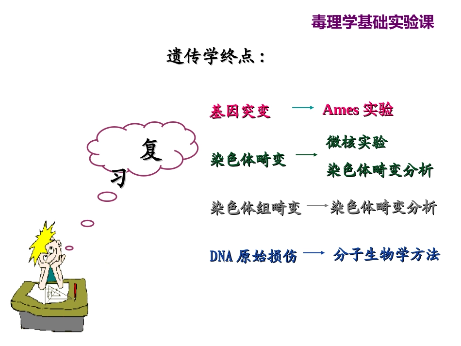 染色体畸变分析汇总_第3页