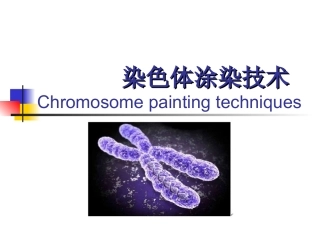染色体涂染的技术