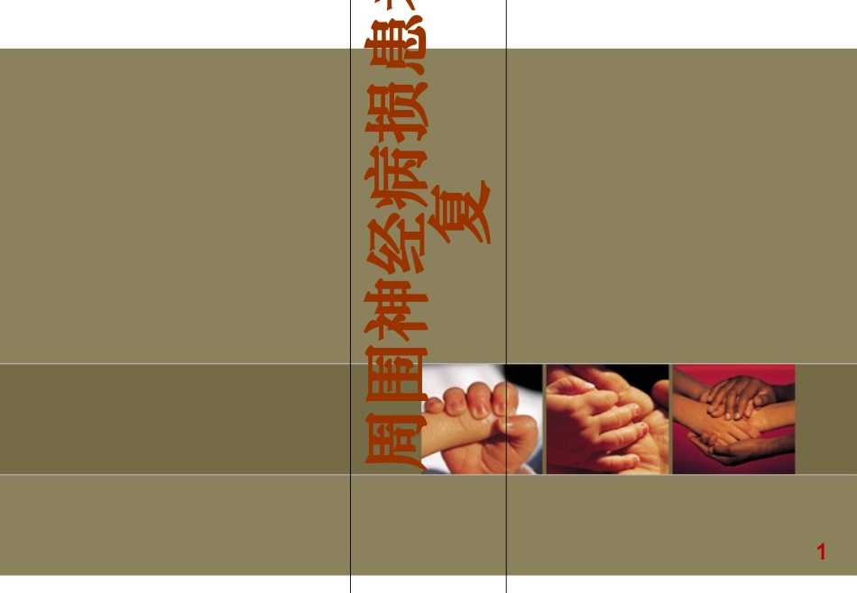 桡神经损伤讲解_第1页