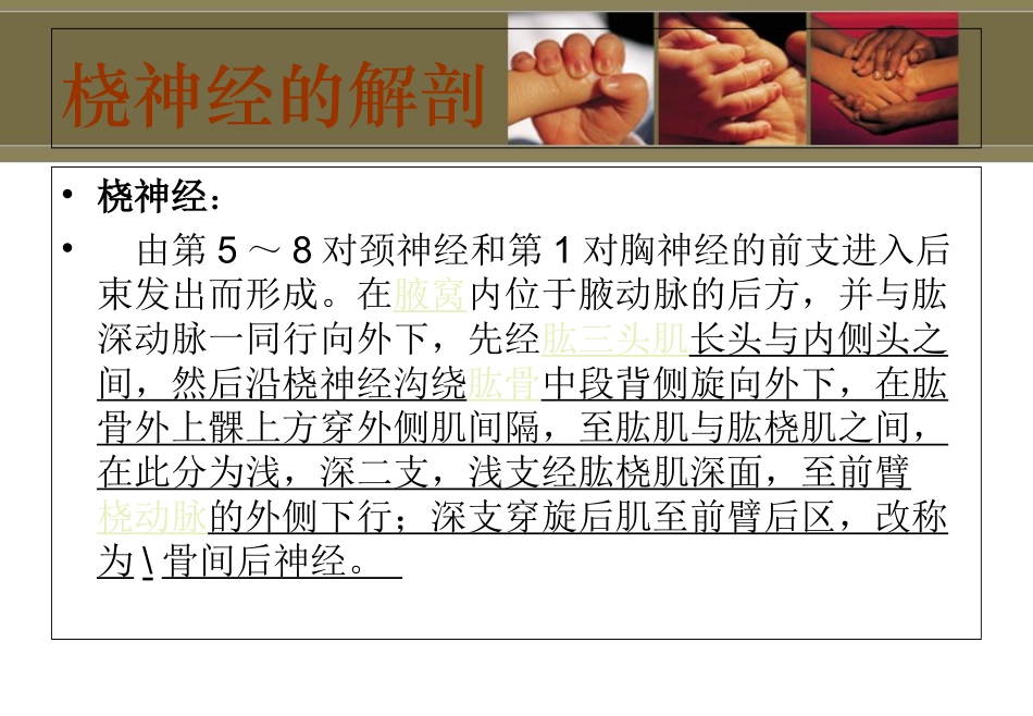 桡神经损伤讲解_第3页