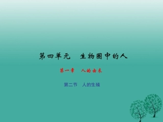 人的生殖课件人教版