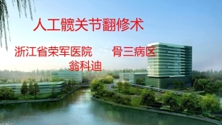 人工髋关节翻修术