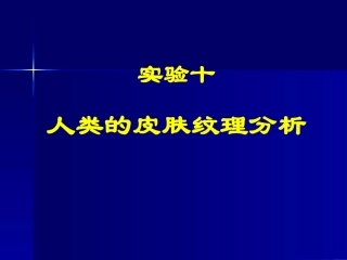 人类皮肤纹理