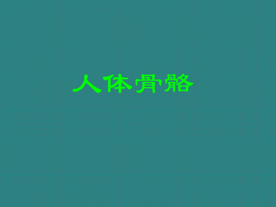 人体骨骼全身骨的分布和特征_第1页