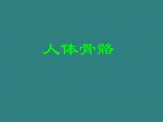 人体骨骼全身骨的分布和特征