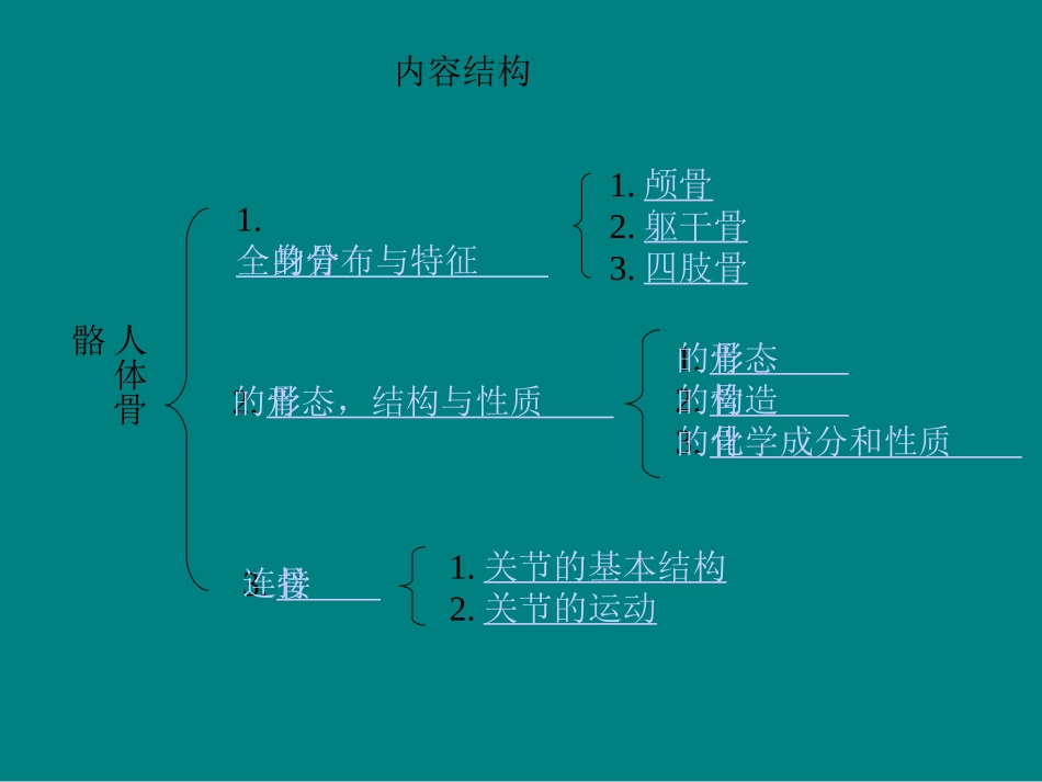 人体骨骼全身骨的分布与特征_第2页