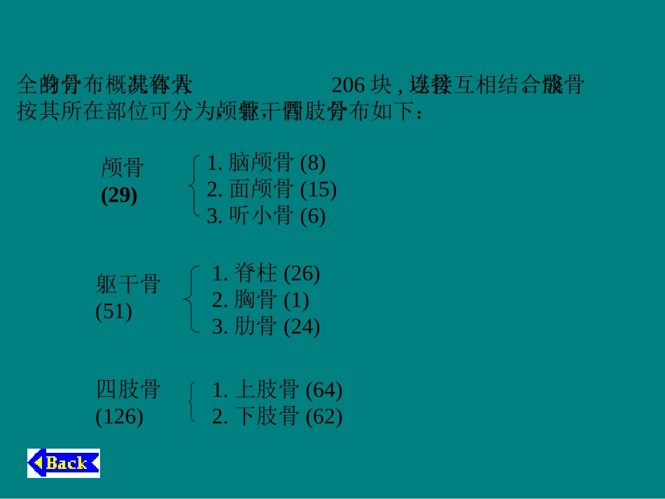 人体骨骼全身骨的分布与特征_第3页