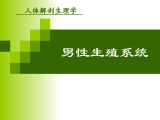 人体解剖生理学生殖系统