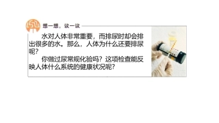 人体内废物的排出