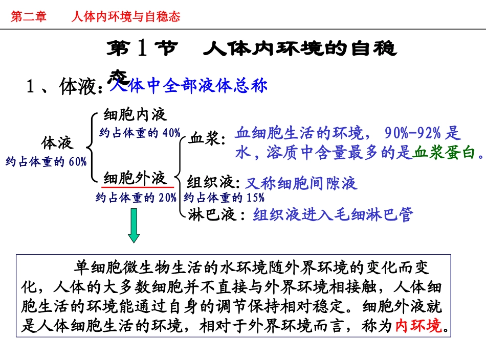 人体内环境的自稳态_第1页