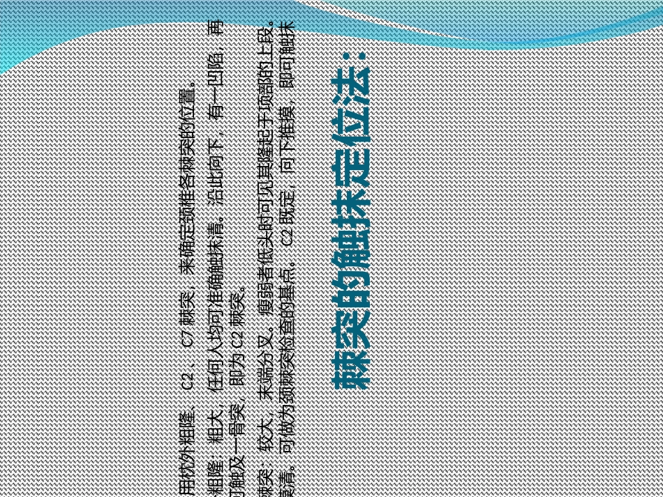 人体体表定位_第3页