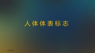 人体形态学测量