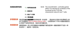 人源化抗体和单克隆抗体制备的主要方法