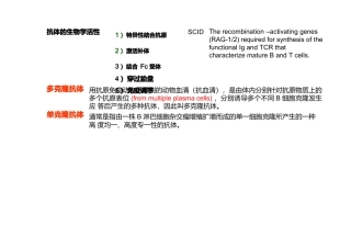 人源化抗体与单克隆抗体制备的主要方法