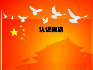 认识国旗课件