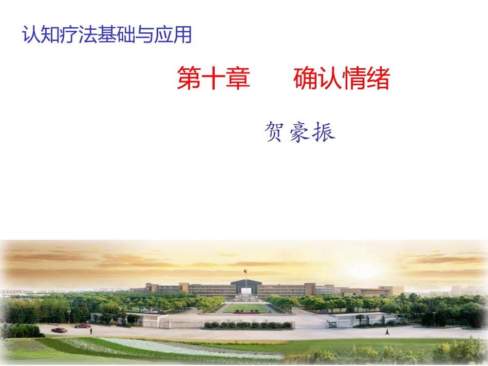 认知疗法基础和应用确认情绪_第1页