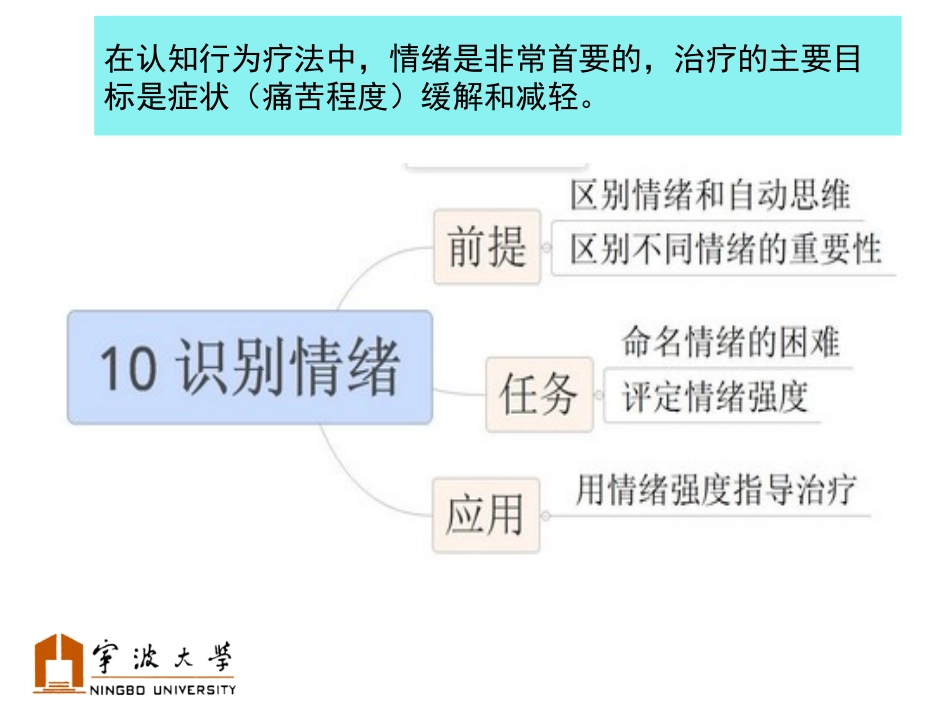 认知疗法基础和应用确认情绪_第2页