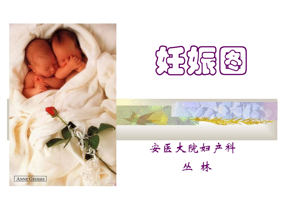 妊娠图NXPowerLite_第1页