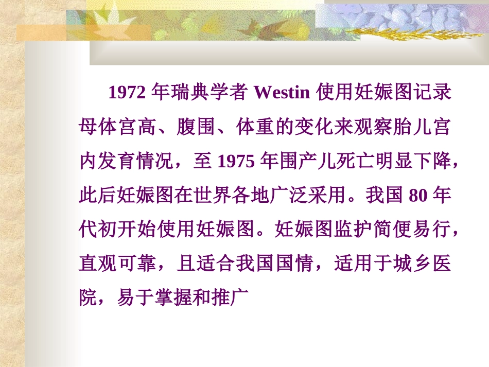 妊娠图NXPowerLite_第2页