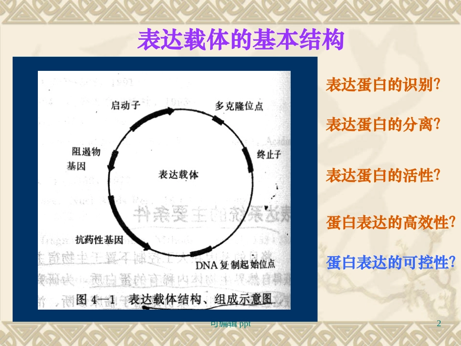 融合蛋白表达系统_第2页