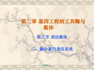 融合蛋白表达系统