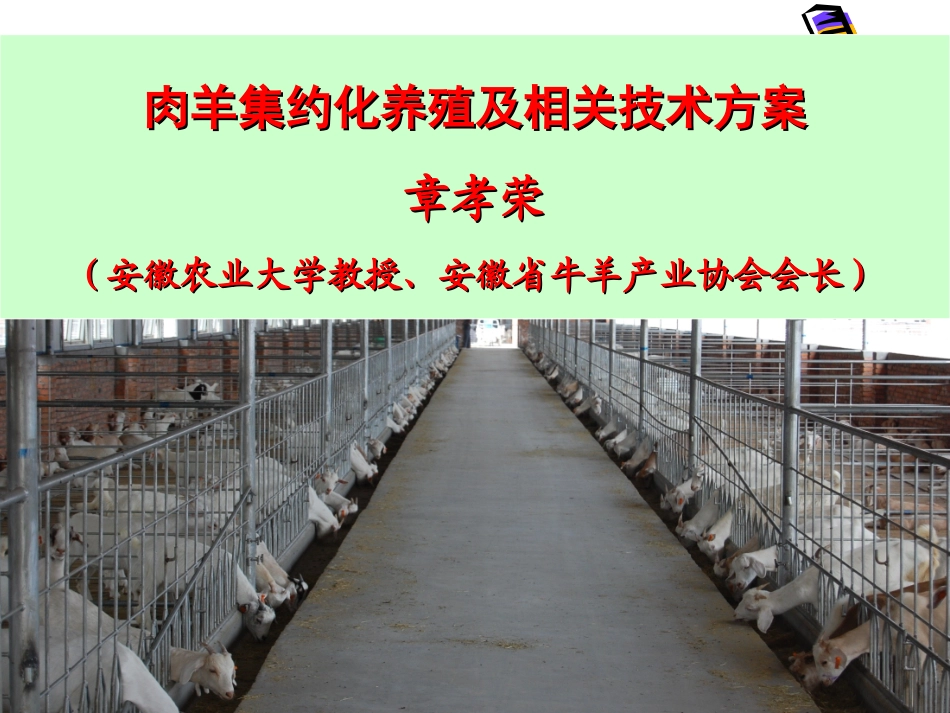 肉羊集约化养殖及相关技术方案_第1页