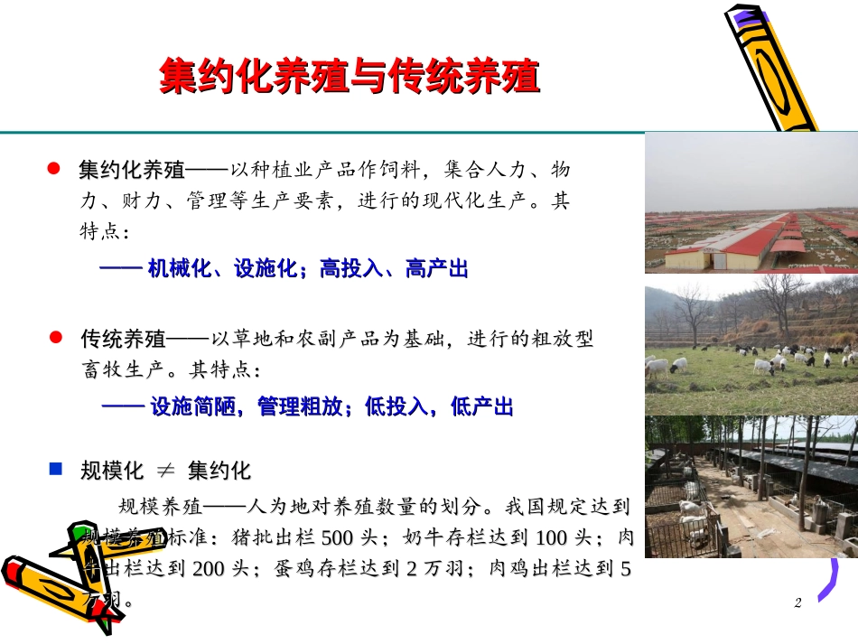 肉羊集约化养殖及相关技术方案_第2页