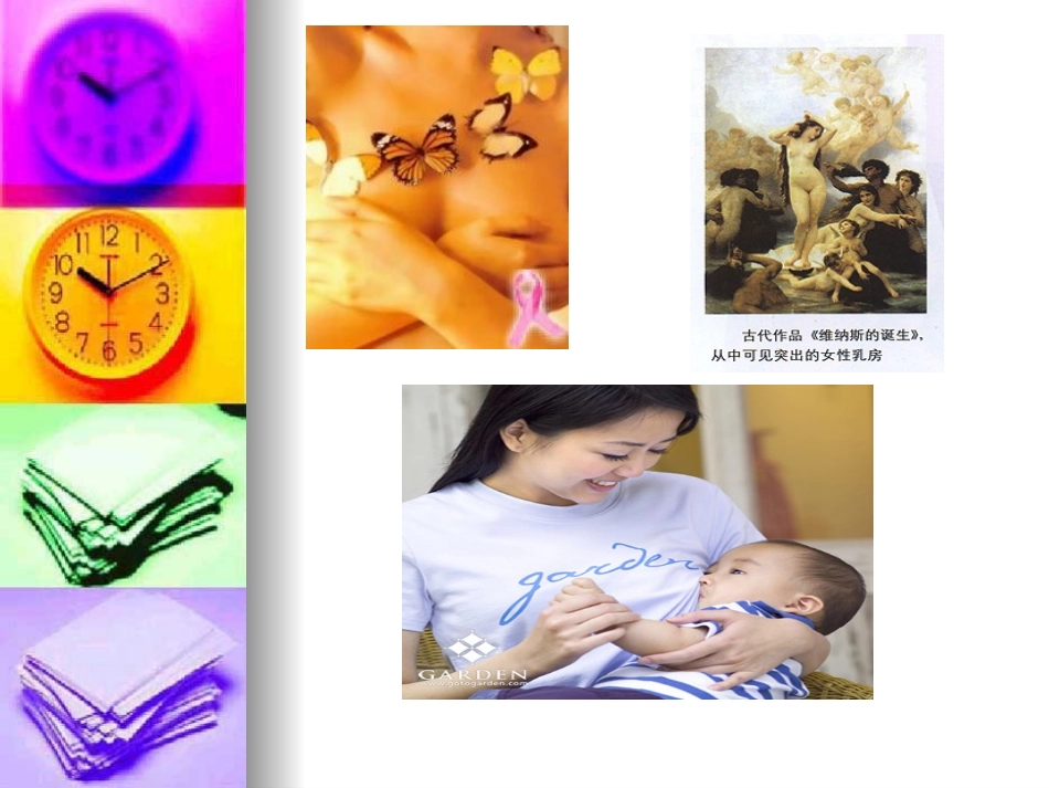 乳腺疾病预防和保健_第2页