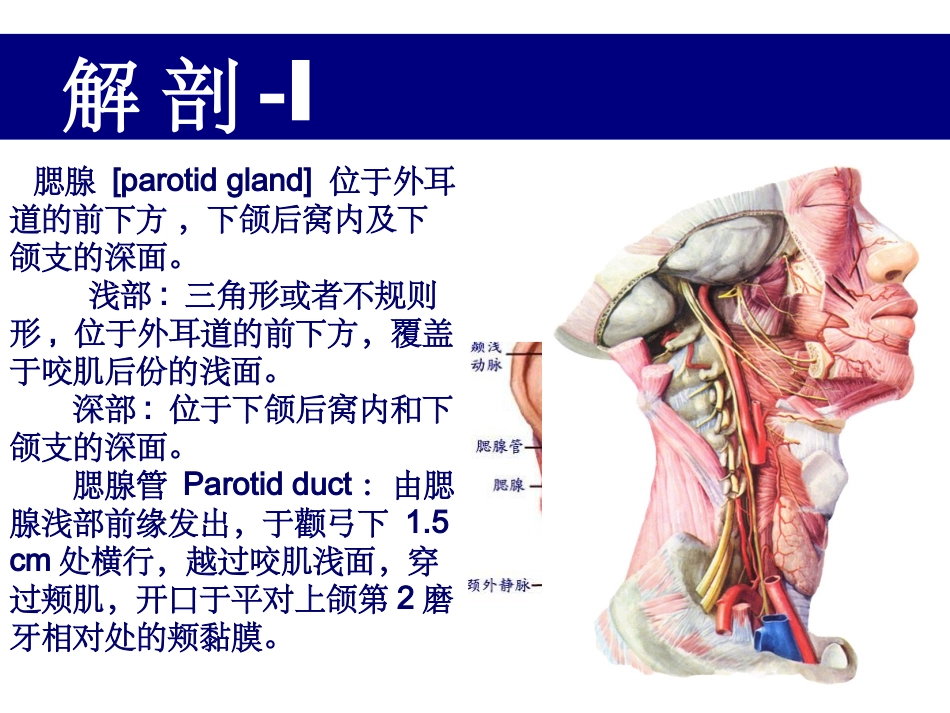 腮腺肿瘤切除术_第3页