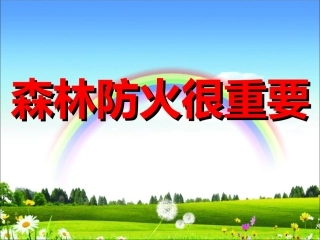 森林防火课件