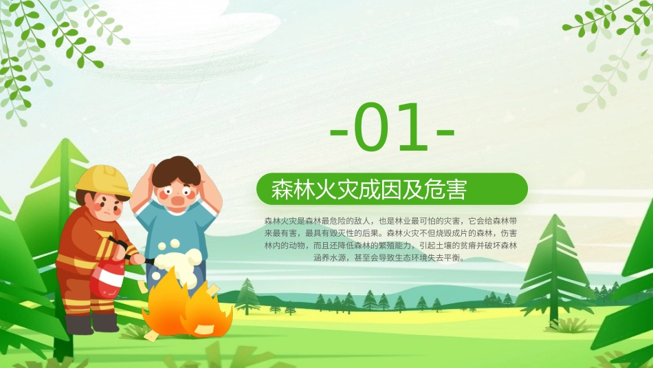 森林防火知识培训课件_第3页