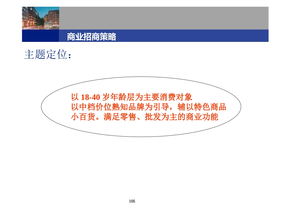 商业地产项目招商策划方案_第3页