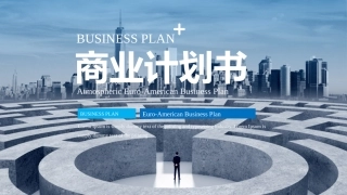 商业计划书通用框架完整