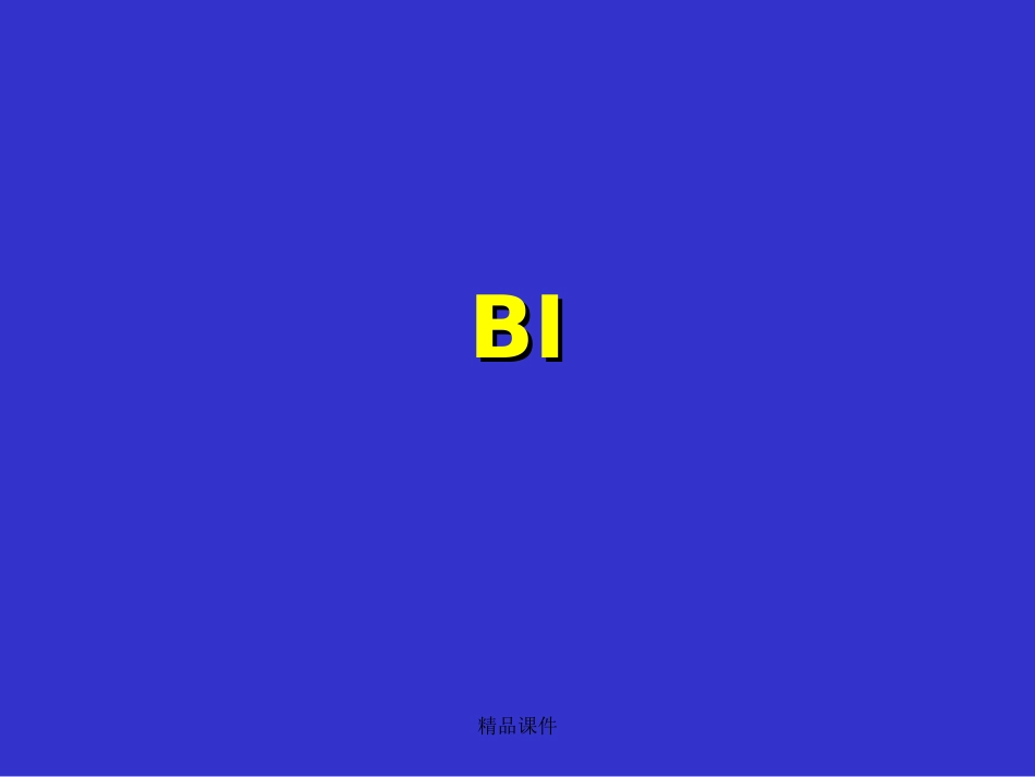 商业智能BI简介精编课件_第1页