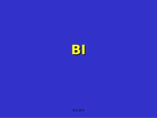 商业智能BI简介精编课件