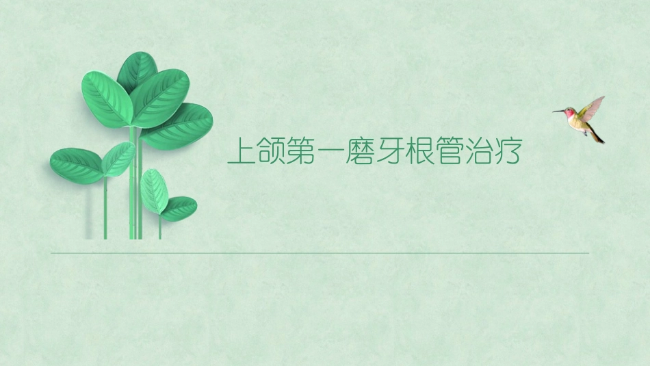 上颌第一磨牙根管治疗_第1页