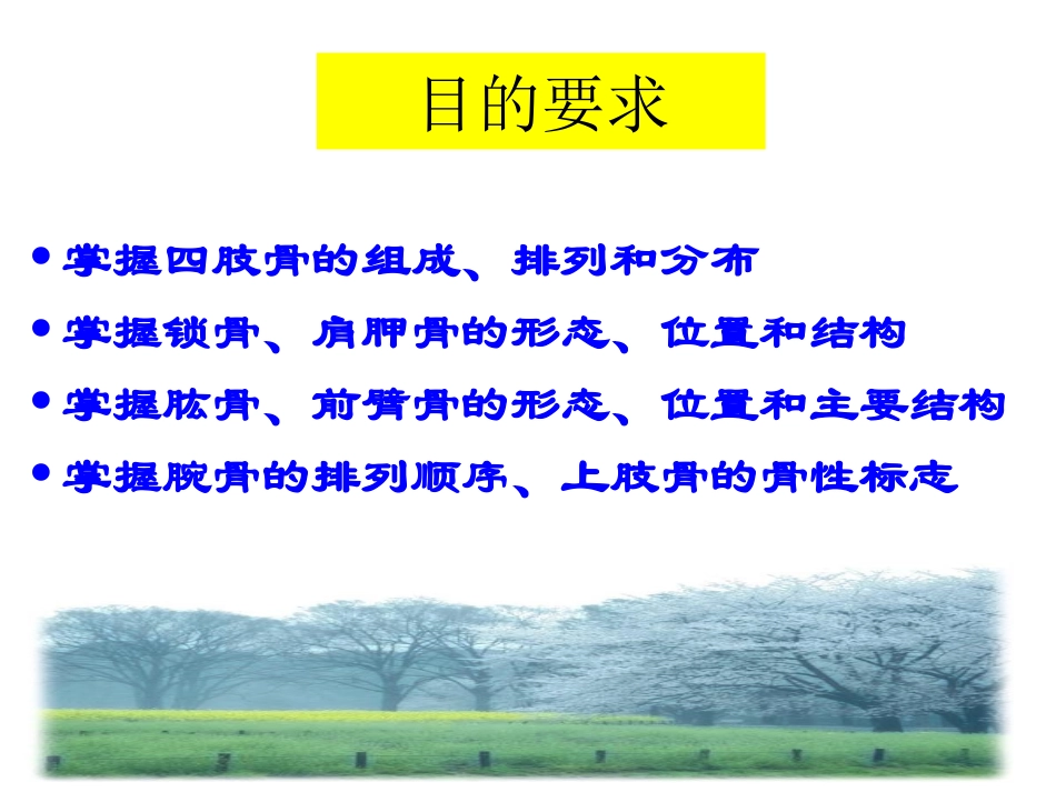 上肢骨人体解剖学_第2页