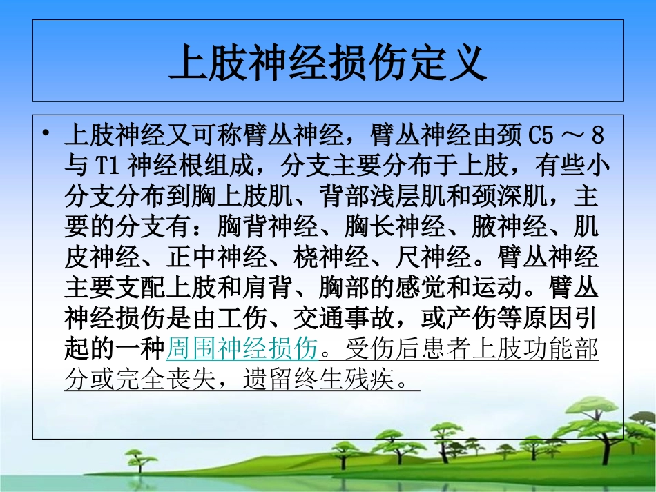 上肢神经损伤的表现及护理_第2页