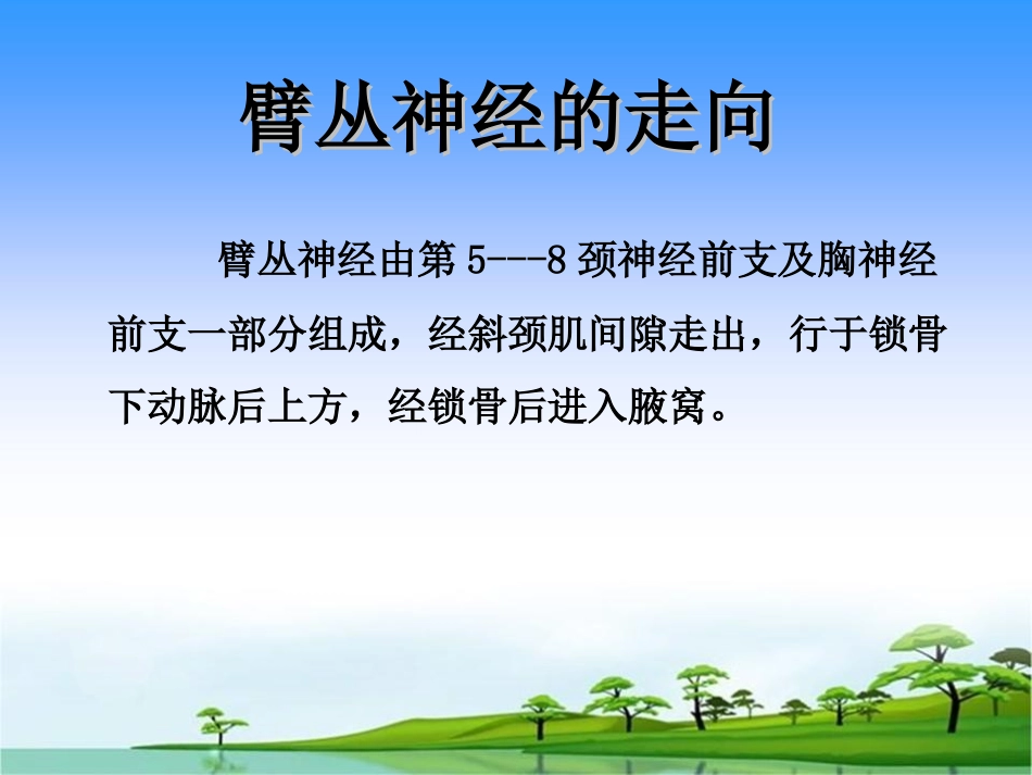 上肢神经损伤的表现及护理_第3页