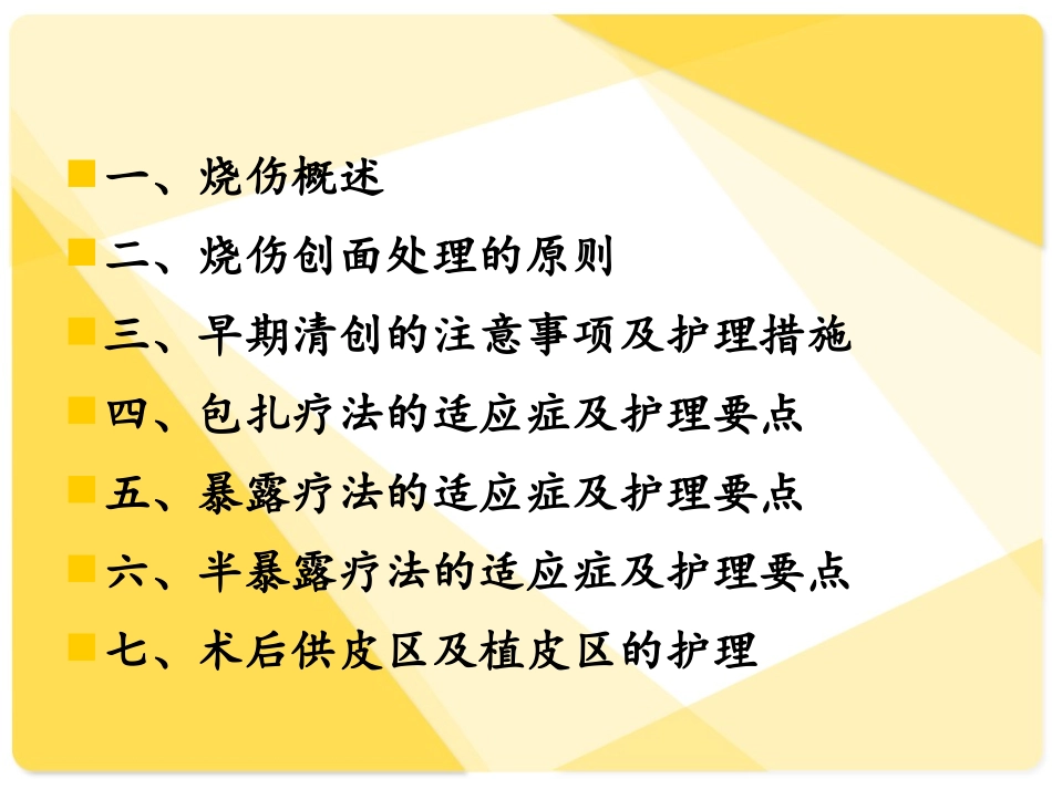 烧伤创面的护理_第2页