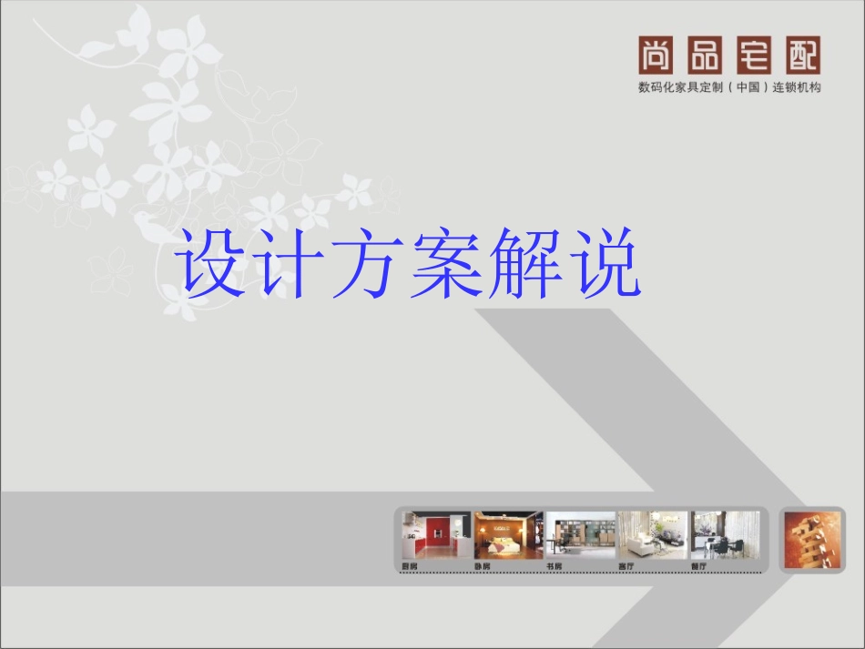 设计方案解说_第1页