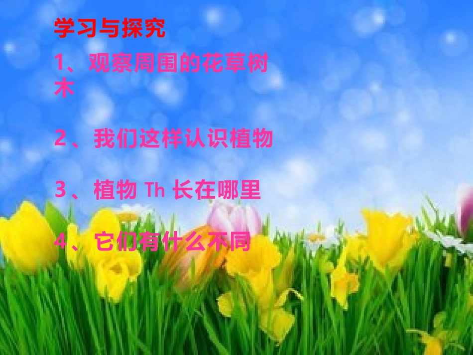 设计我们周围的植物_第2页