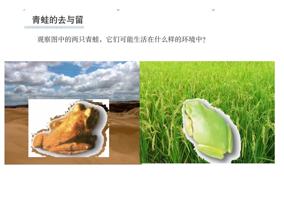 谁选择了他们_第3页