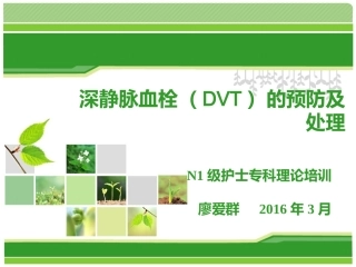 深静脉血栓DVT的预防及处置